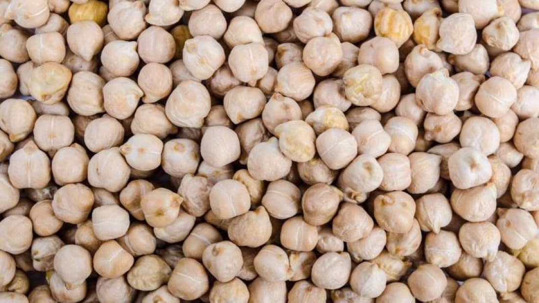 Garbanzo